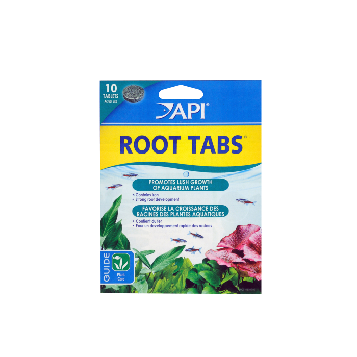 API – Root Tabs