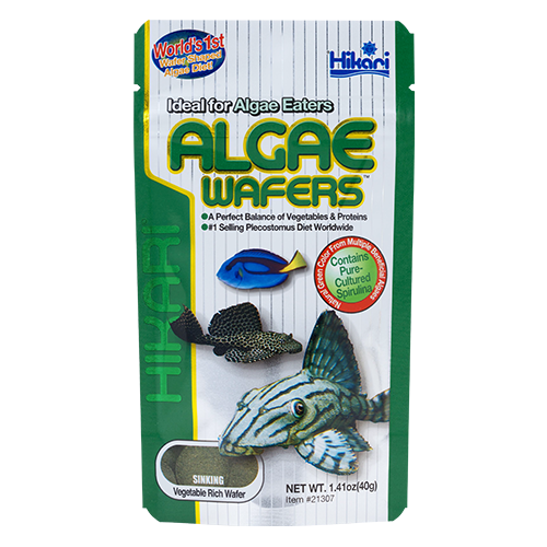 Hikari - Algae Wafers - Willow Current AquaticsSouthern Wholesale Pet Supplies