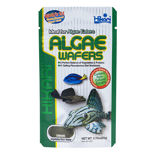 Hikari - Algae Wafers - Willow Current AquaticsSouthern Wholesale Pet Supplies
