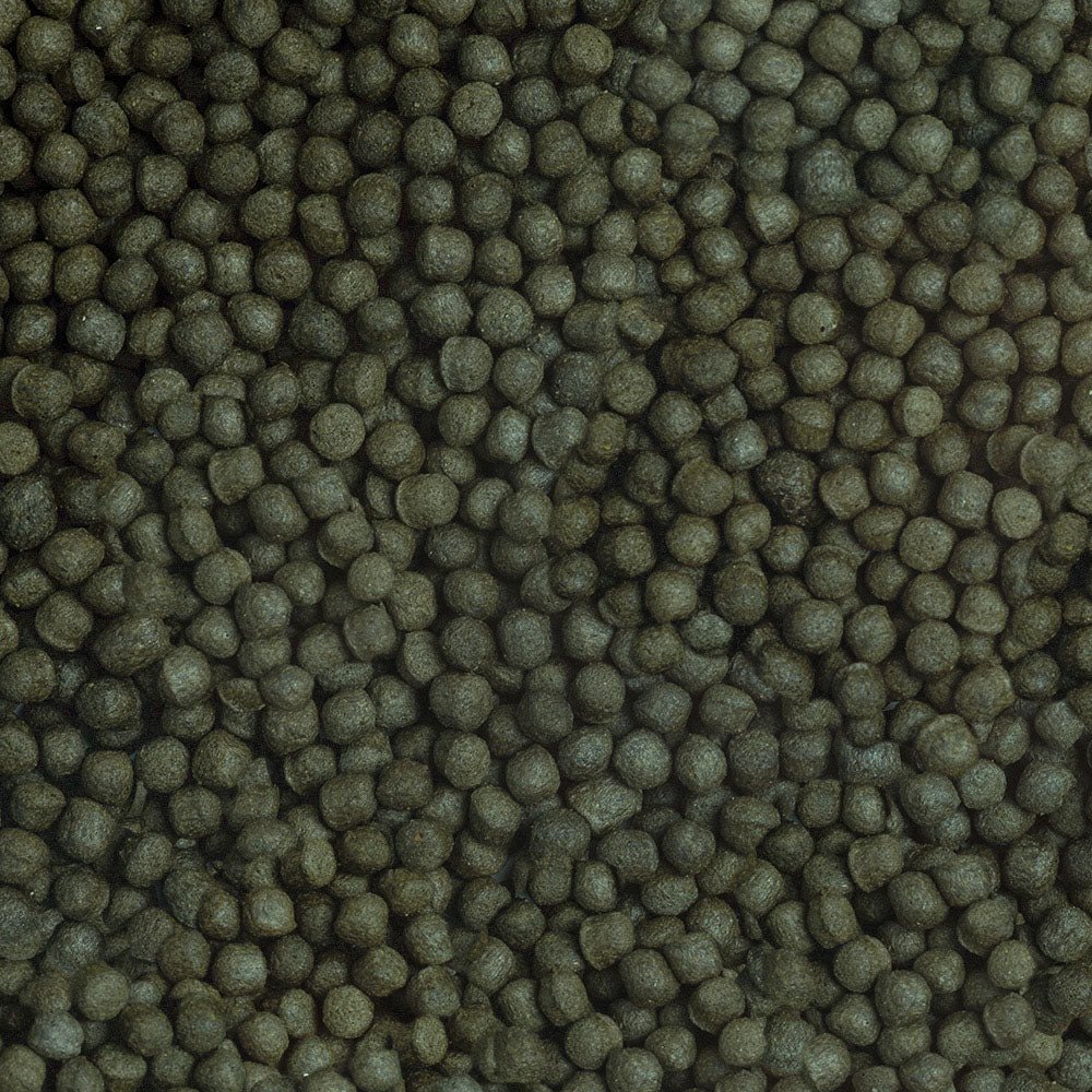 Sera - Cichlid Herbivore Granules XL - Willow Current AquaticsFish Food (Granules)Southern Wholesale Pet Supplies