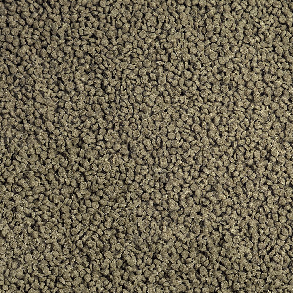 Sera - Cichlid Malawi Granules - Willow Current AquaticsFish Food (Granules)Southern Wholesale Pet Supplies