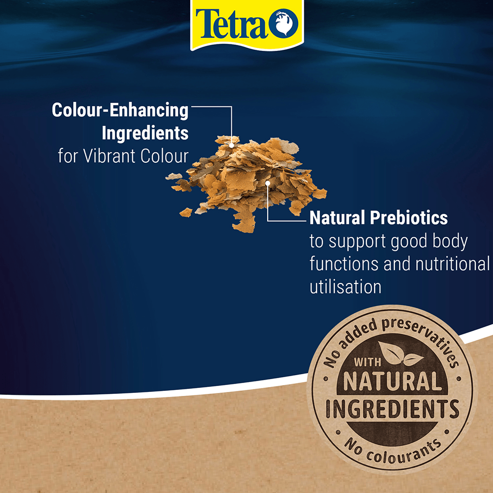 Tetra – Tropical – Colour Flakes - Willow Current AquaticsWillow Current Aquatics